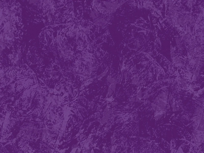 e094b54c98d741dd8e89b2e149d31496