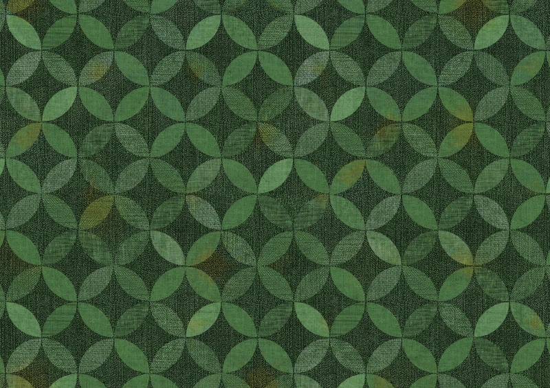 1a15cc89afc8498422c277c45dca8e76