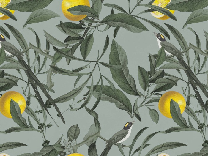 2518b34658e0c4728cd2b30c25ef4841