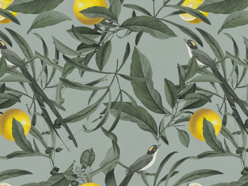 2518b34658e0c4728cd2b30c25ef4841