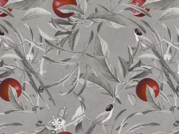 c44fe464b542b6f6261454eb87479af3