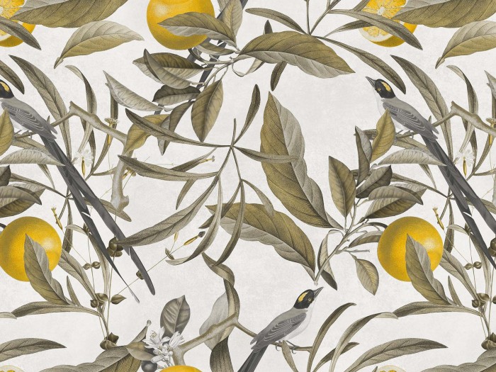 682125052fdad825a6f88c5175262683