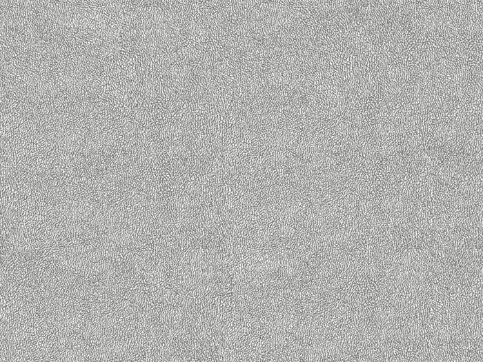 41821d62920995ea0619392bf6535d33