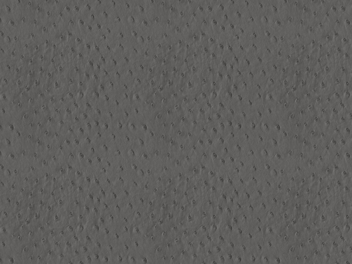 b163e2618a13dcc4d304b9218c5c440d