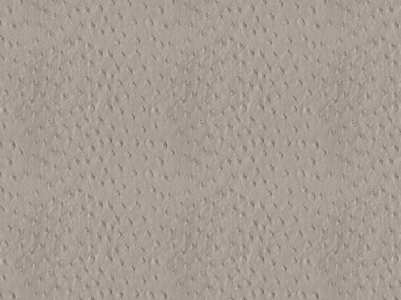 6dd62952e395ebabf5022e8b5fcd74f6