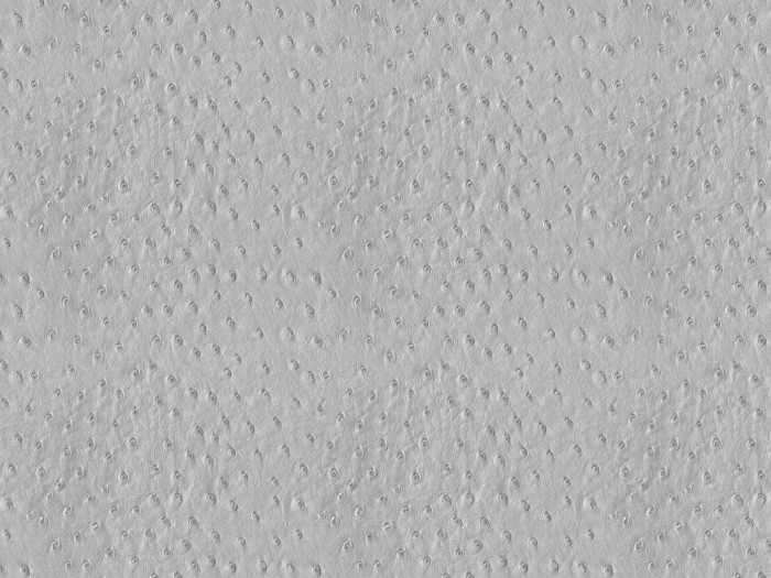 4fe9d4af3cb2b22aa1aec6dffeb74488