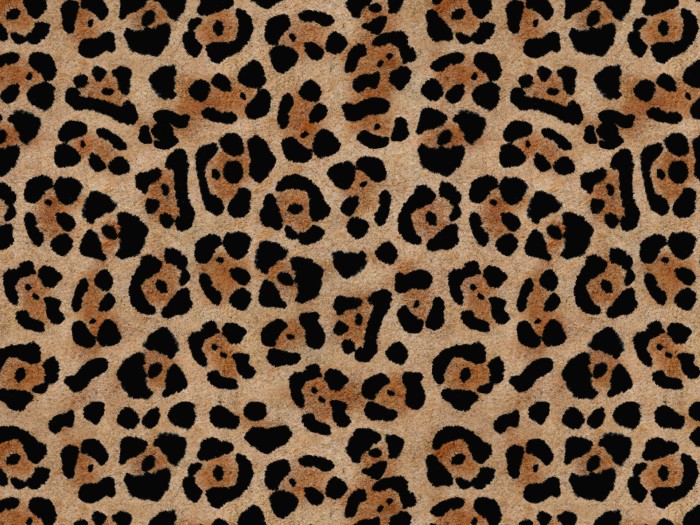 34f53bae38902e2e0b7f48c98f238c75