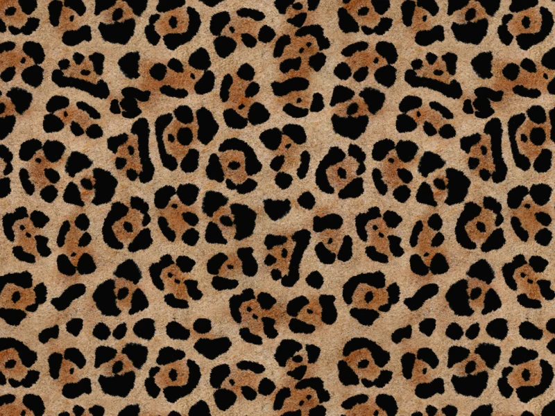 34f53bae38902e2e0b7f48c98f238c75