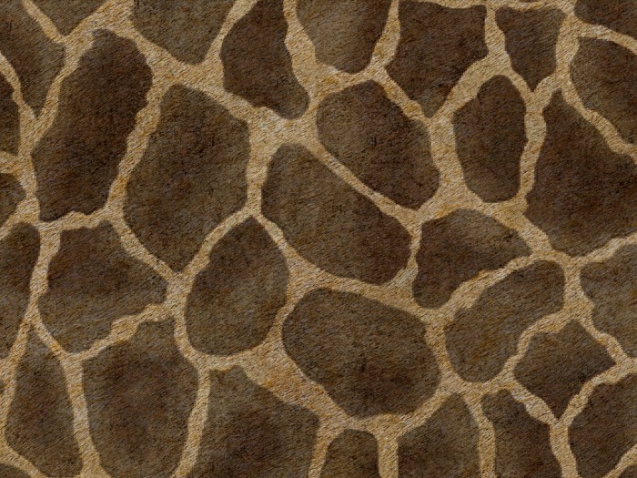 bb944acc2acfe06c1ec384f25f06ce3b