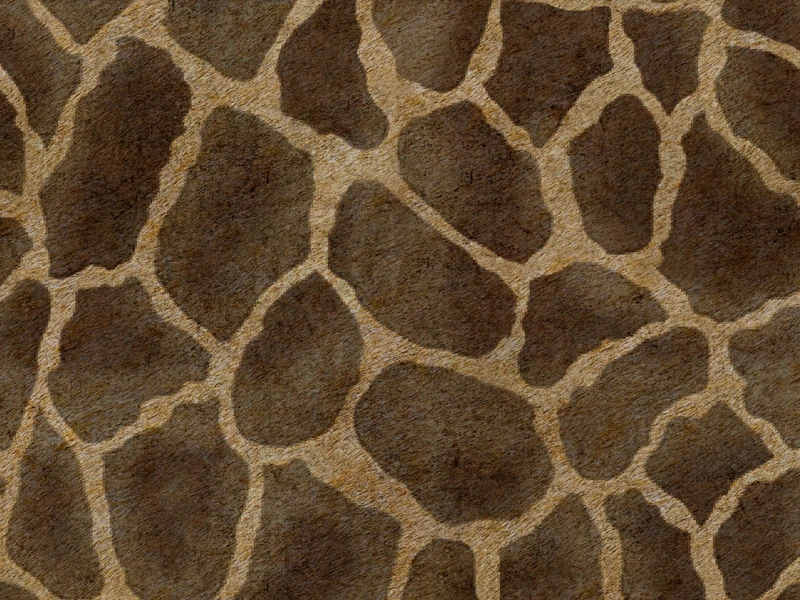 bb944acc2acfe06c1ec384f25f06ce3b