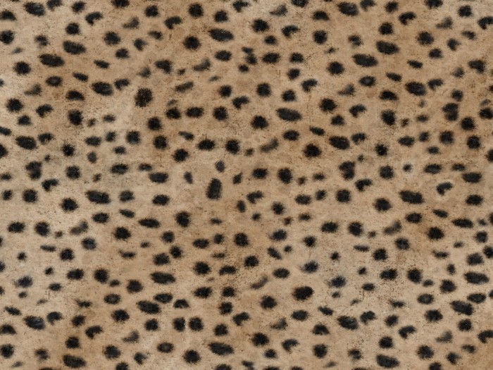 e4d95235da1f7eb5035c7f293a94ec6b