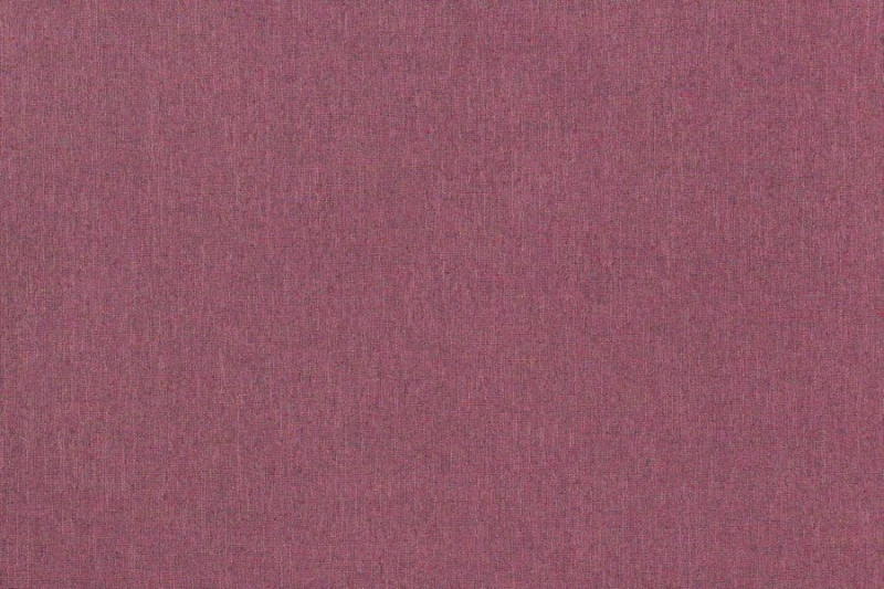 43565.jpg