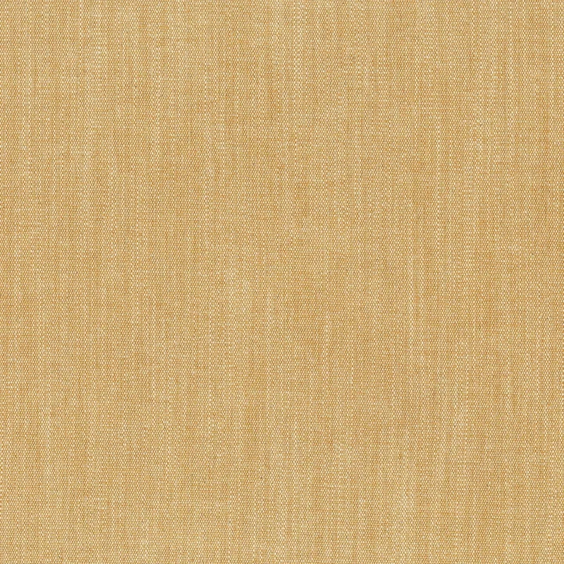 52525.jpg