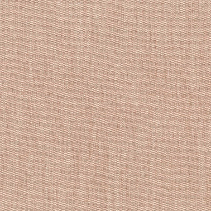52541.jpg
