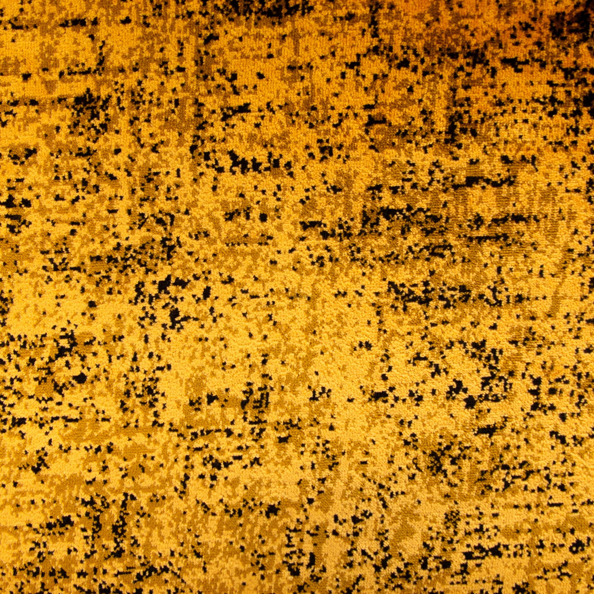 LUMIERE