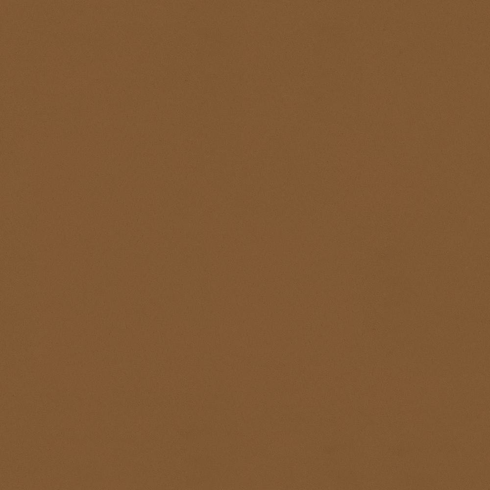 NEOSUEDE