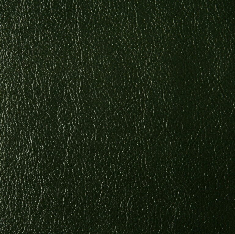 Skóra naturalna Madras 206