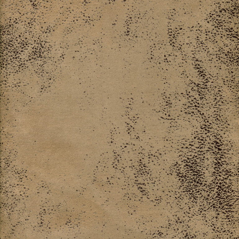 PRINT camel 5 - obrazek 4