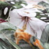 Tkanina obiciowa Hibiskus - obrazek 5